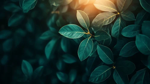 Backlit green foliage with shallow depth and warm rim light