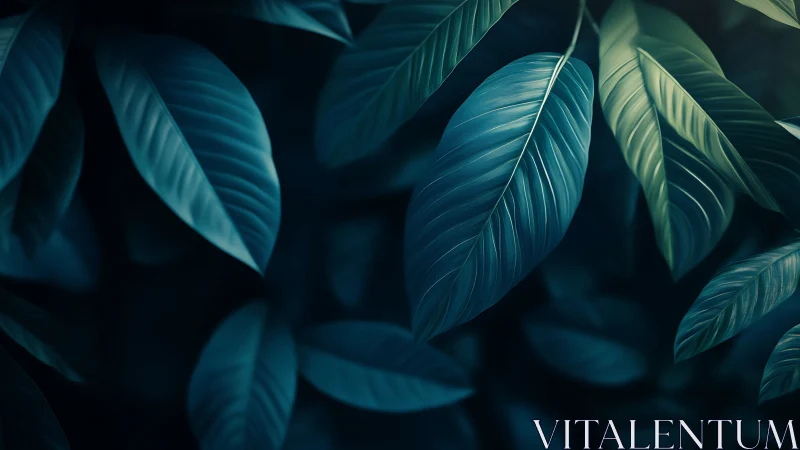 Macro botanical foliage with teal-blue leaves and bokeh light