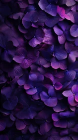 Radiant Purple Blooms Dancing in Luminous Shadows