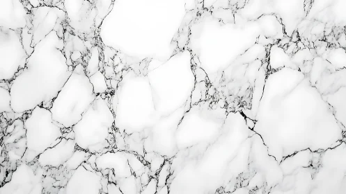 Soft white marble surface with graceful dark grey veining.