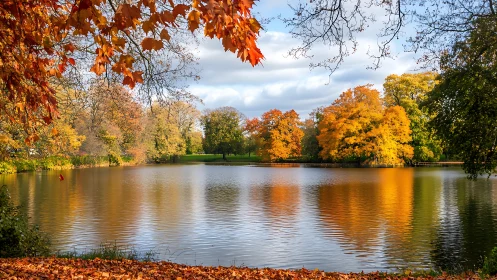 Calm lakeside scene reflects vibrant autumn trees in sunlight