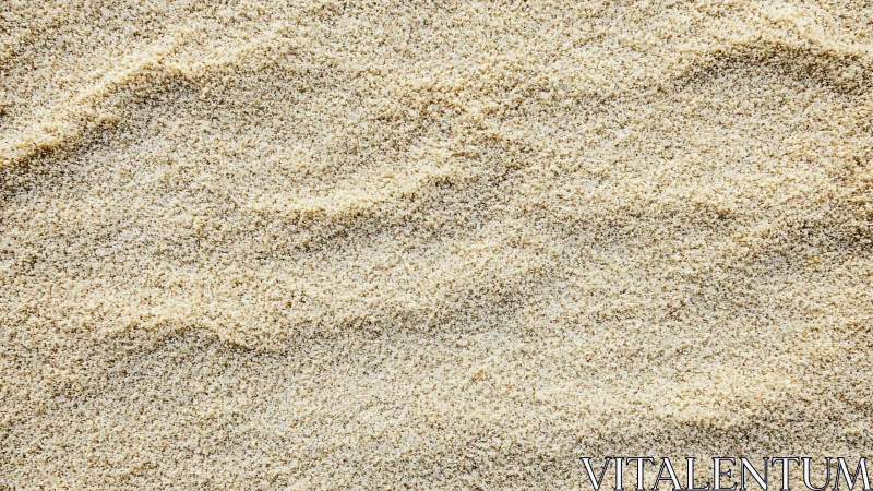 Fine granular sand surface shows subtle linear undulations