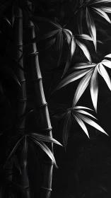 Monochrome bamboo stalks with rim-lit leaves in deep shadow.