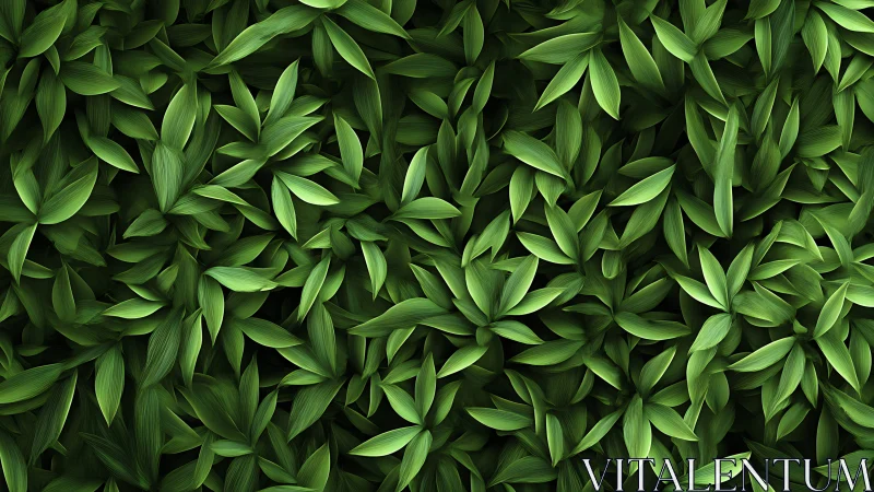 Dense overlapping green leaves forming uniform foliage field.