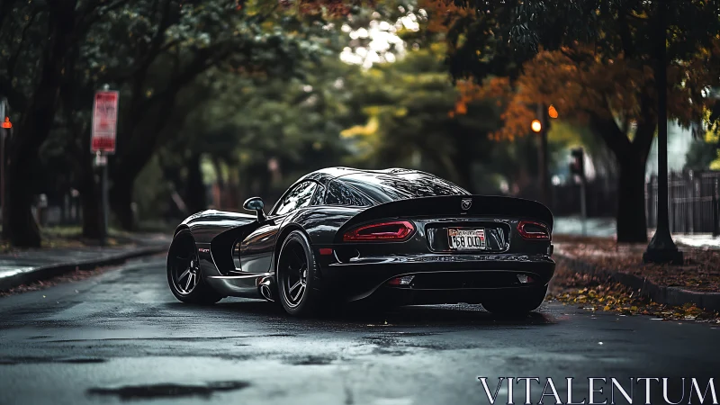 Midnight black sports car on wet tree lined city street.