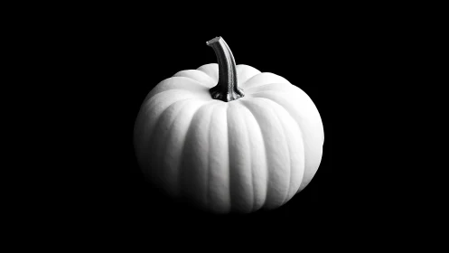 White pumpkin isolated on black background in monochrome.
