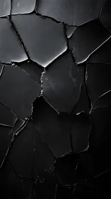 Cracked dark surface shows irregular fractured plate segments