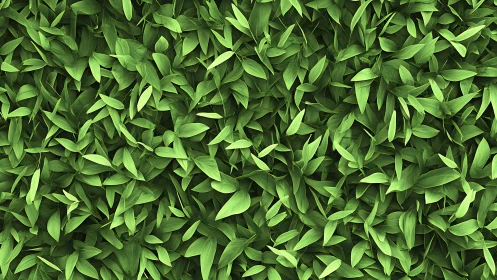 Lush green leaves create a soothing carpet of natural calm