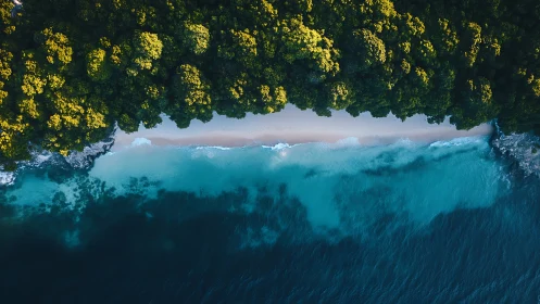 Aerial view of forested coastline meeting turquoise ocean waters