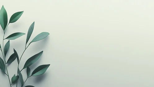 Minimalist green leaf branch rests on soft pale backdrop