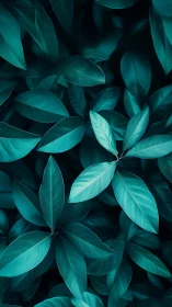 Teal tropical leaves forming dense natural foliage pattern.