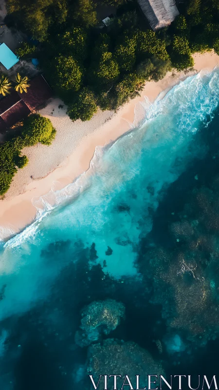 Tropical Paradise Unfolds: Turquoise Waters Kiss Sandy Shores