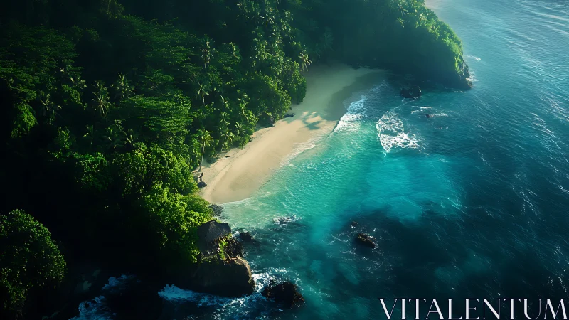 Pristine Tropical Beach Cove Meets Azure Waters.