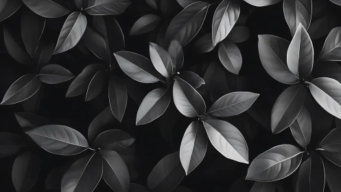 Monochrome foliage pattern with glossy overlapping leaves.