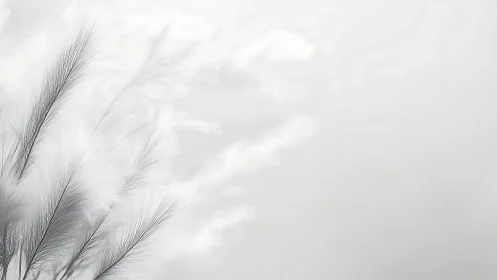 Minimalist macro study of soft white feathers in diffuse light