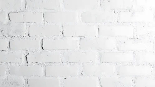 White painted brick wall shows subtle texture and depth.