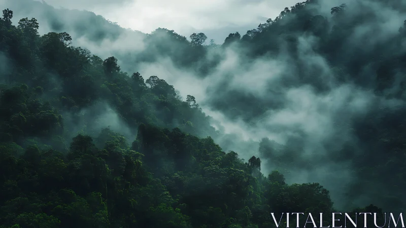 Misty Mountain Forest Landscape with Low-Lying Fog.