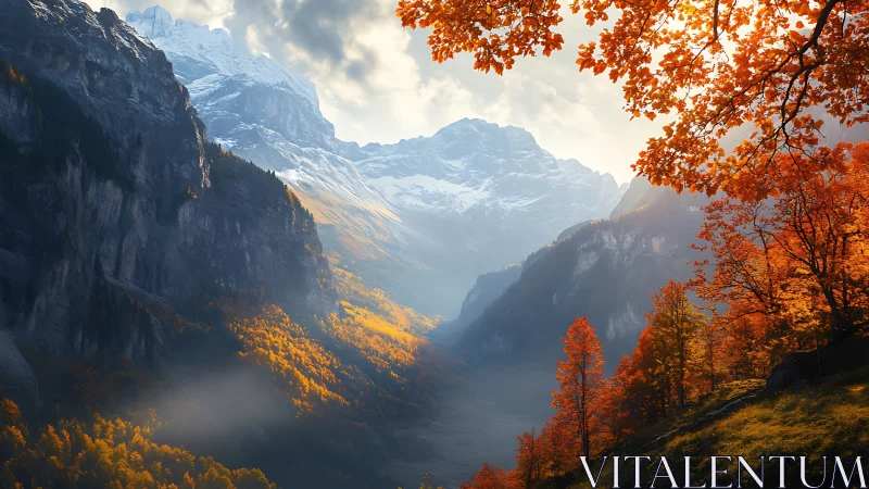 Autumn valley beneath snowy mountains in warm sunlight.