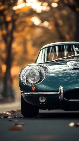Classic teal coupe front end parked on tree-lined road