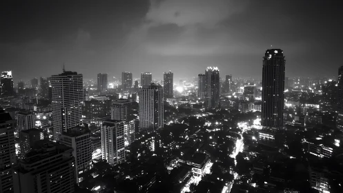 Monochrome towers hum while night traffic sketches bright veins