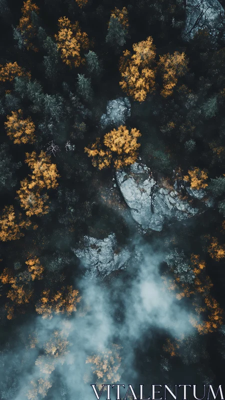 Aerial Forest Landscape with Golden Autumn Trees and Misty Valley.