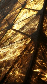 Golden geometric panels reflect fractured warm light