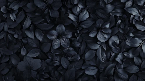 Monochrome botanical field in low key tonal compression.