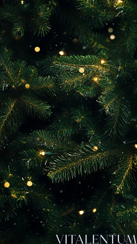 Close-up evergreen branches with warm string lights at night.