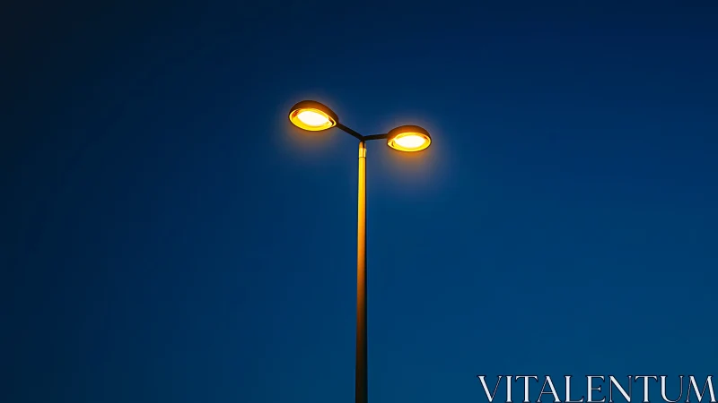 Twin streetlights glow against deep blue twilight sky.