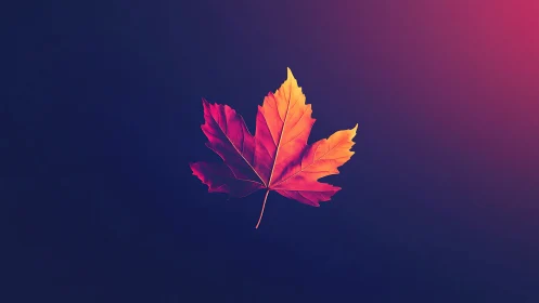 Luminous maple leaf drifting across a twilight gradient sky.