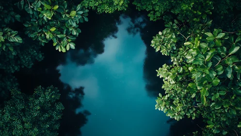 Aerial Lagoon: Luminous Water Framed by Lush Tropical Foliage