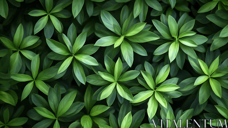 Green radial foliage pattern with overlapping tropical leaves.