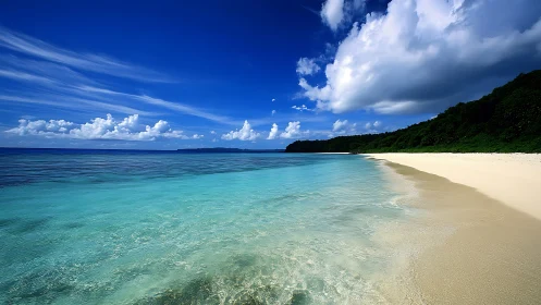 Tropical Beach with Turquoise Waters and White Sand.