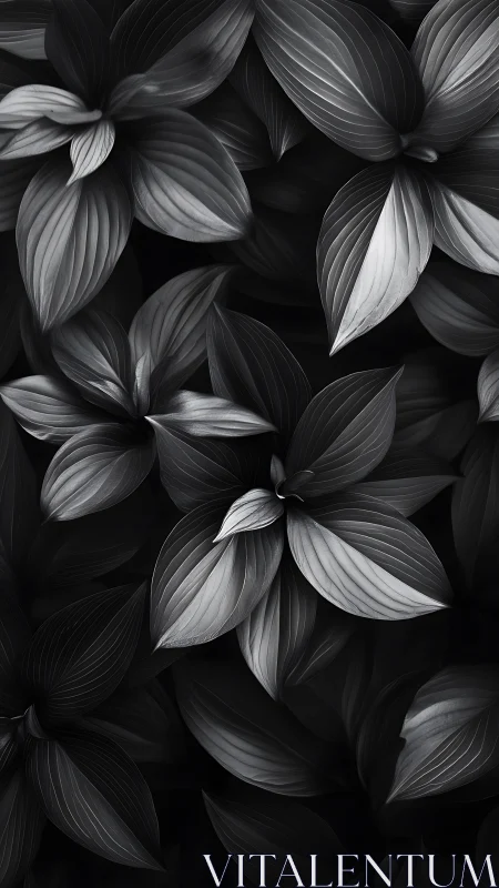 Monochrome closeup of overlapping textured leaves.