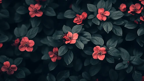 Coral Blooms Dance Among Deep Green Foliage