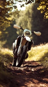 Off-road motorcycle stands on muddy forest trail in sunlight