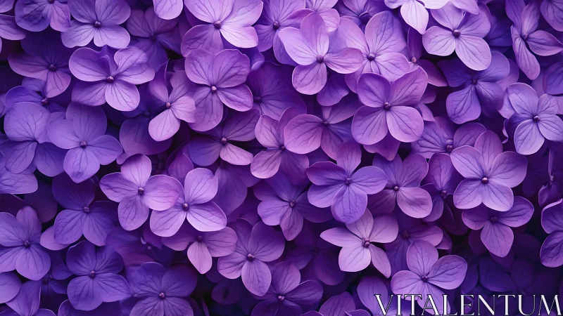 Densely clustered purple flowers filling entire frame