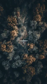 Aerial Perspective of Aircraft Over Forested Terrain.
