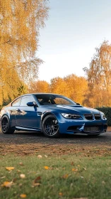 Blue BMW coupe parked on rural road in autumn landscape.