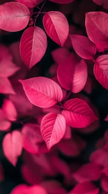 Vibrant magenta leaves in soft depth of field portrait.