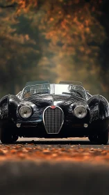 Vintage black roadster stands on autumn forest road