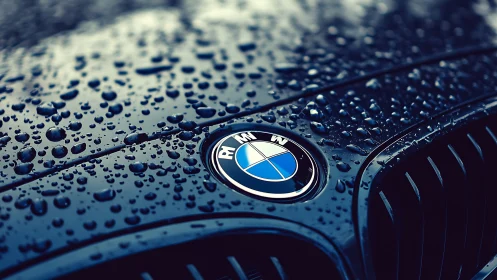 Raindrops glisten on a sleek luxury car emblem at dusk