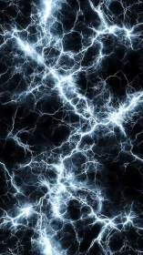 Electric plasma arcs form dense branching lightning network