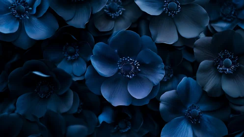 Blue Anemone Cluster: Nocturnal Botanical Study.