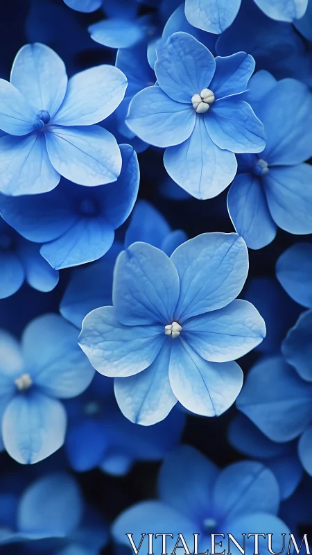 Blue Flowers in Soft Focus. Delicate Petals.