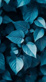 Cool cyan foliage study with shallow depth and soft light.