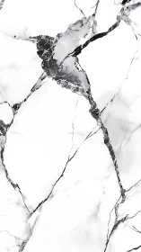 White marble texture reveals bold black veining drama