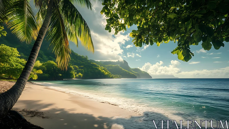 Tropical Coastal Beach with Palm Trees and Mountain Backdrop