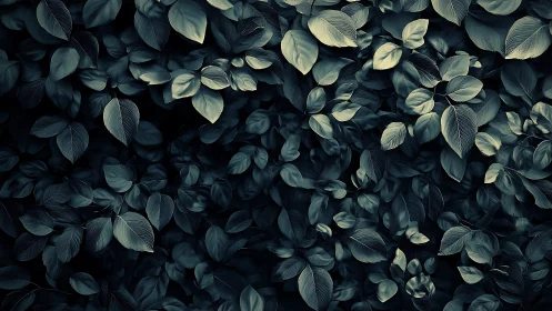 Low-key macro foliage texture with overlapping matte leaves
