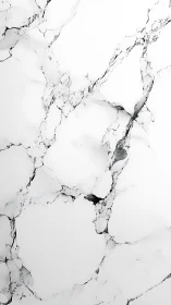 Minimal white marble surface exudes calm, modern elegance